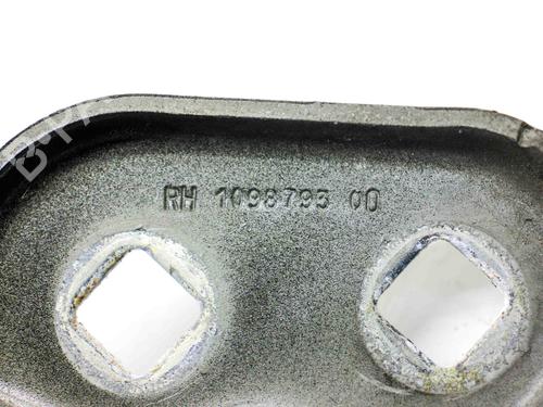 Hinge/Door check strap TESLA MODEL 3 (5YJ3) EV AWD | BP29227879C146 