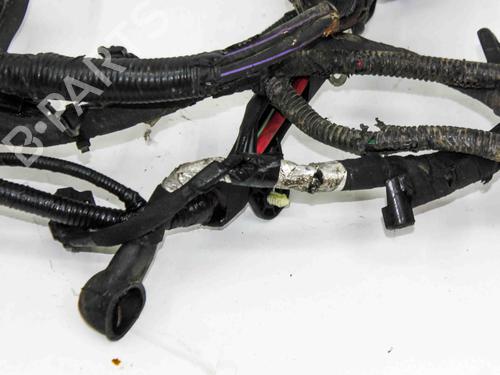 Wiring harness FORD USA F-150 Crew Cab Pickup 2.7 | BP28821149E16