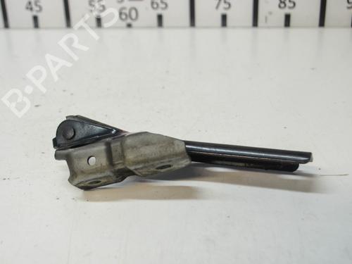 Hinge/Door check strap AUDI A3 Sportback (8PA) 2.0 TDI 16V | BP14672492C146 