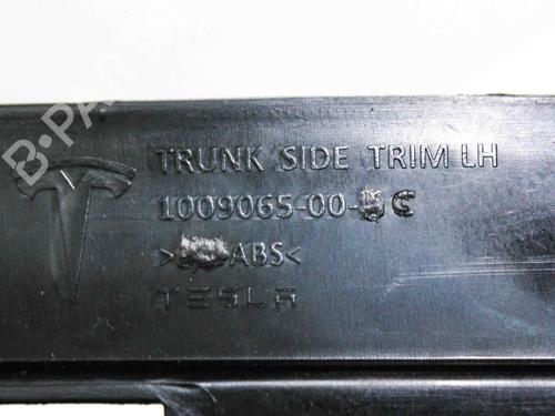 Outra TESLA MODEL S (5YJS) 85 | BP23251944O1 