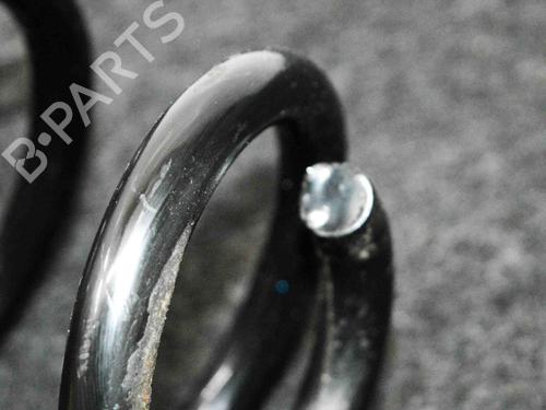 Shock absorber spring AUDI A4 B8 (8K2) S4 quattro | BP15205921C152
