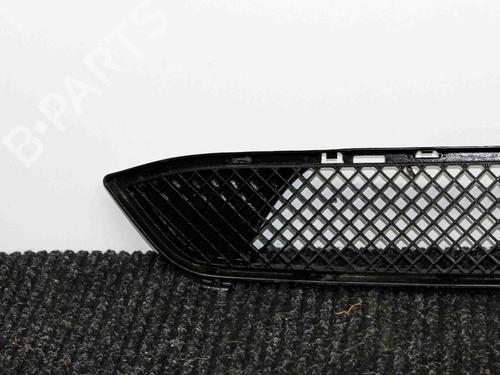 Grille BMW X1 (E84) sDrive 28 i | BP28821738C40