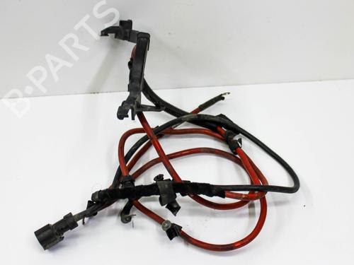 Wiring harness BMW 5 (F10) 528 i | BP20239032E16 