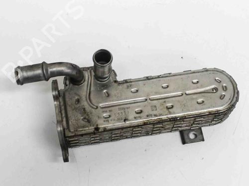 Egr VW GOLF V (1K1) 2.0 TDI | BP6489317M69