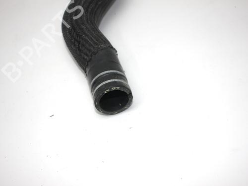 Pipe ALFA ROMEO GIULIA (952_) 2.0 (952ACA25) | BP38515957M125 - Image 5