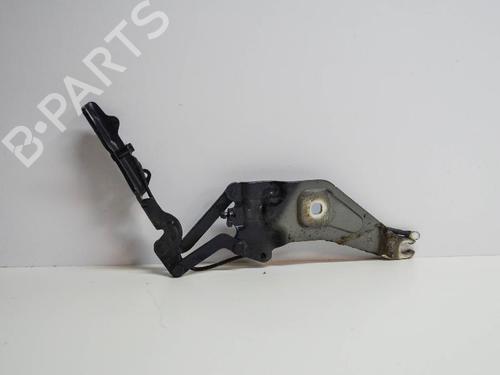 Hinge/Door check strap BMW X5 (E70) 3.0 sd | BP14669289C146 