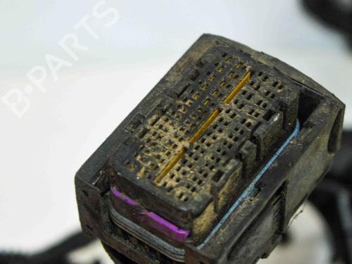 Wiring harness SKODA OCTAVIA II (1Z3) 1.6 TDI | BP14671423E16 