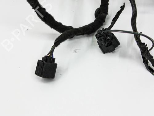 Ledningsnet FORD USA MUSTANG Coupe 3.7 V6 | BP28821595E16 