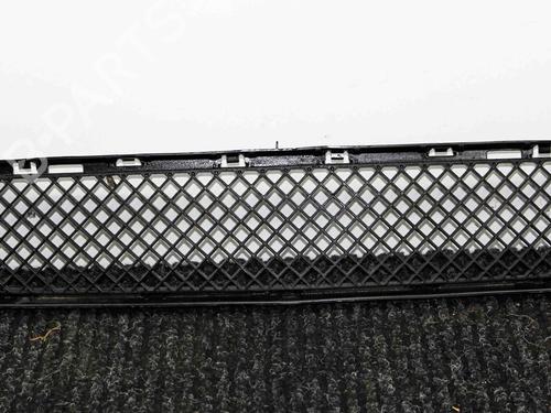 Grille BMW X1 (E84) sDrive 28 i | BP28821738C40