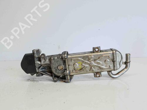 Egr VW GOLF VI Variant (AJ5) 1.6 TDI (105 hp) 7539968