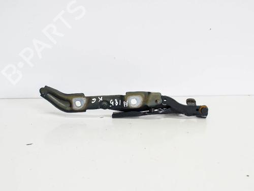 Hinge/Door check strap BMW 3 (E90) 320 i | BP14690378C146 