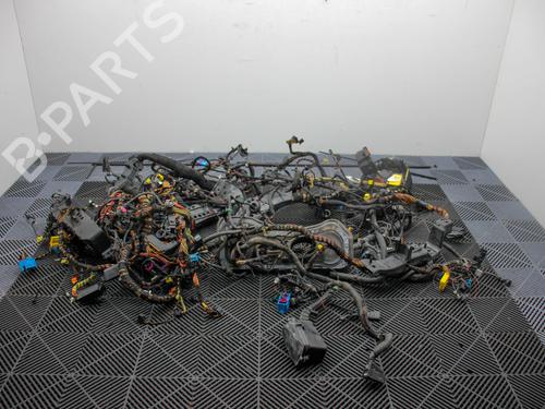 Used Wiring harness PORSCHE PANAMERA (970) 3.6 (300 hp) 30544323