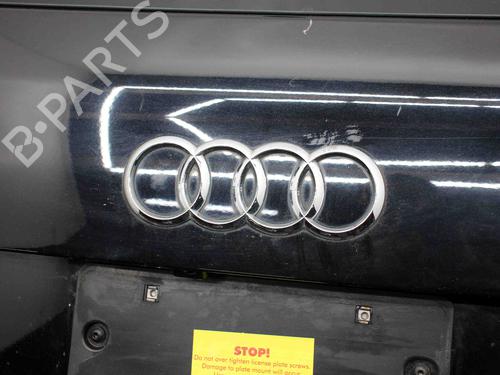 Tailgate AUDI Q7 (4LB) 3.0 TFSI quattro | BP29373550C6 
