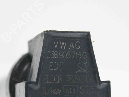 Ignition coil VW JETTA IV (162, 163, AV3, AV2) 1.4 TSI | BP7913317M94