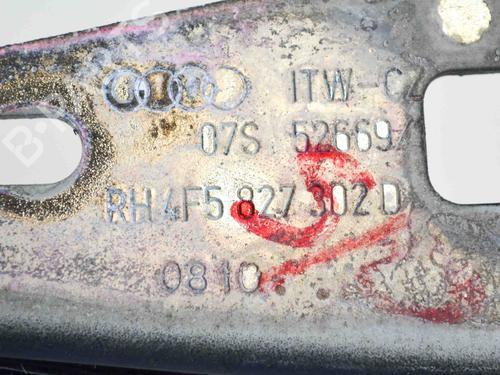 Hinge/Door check strap AUDI A6 C6 (4F2) 2.7 TDI | BP14690589C146