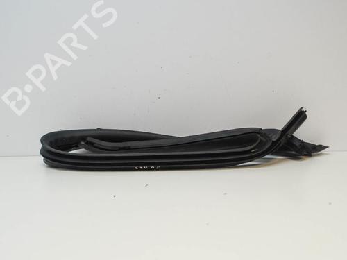 Used Rubber door seal VW PASSAT CC B6 (357) 2.0 TDI (170 hp) 14670415
