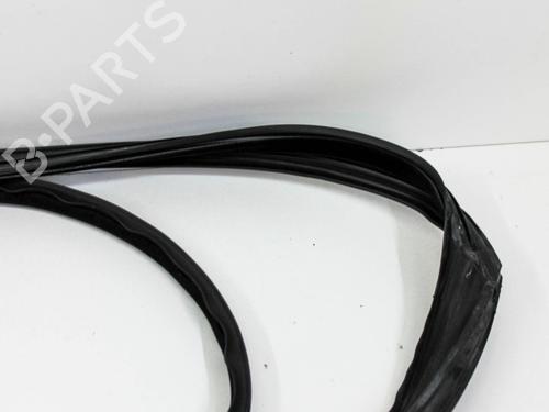 Rubber door seal BMW 5 (G30, F90) 530 e Plug-in Hybrid | BP16541051C142 