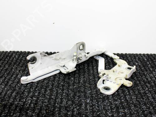 Hinge/Door check strap BMW 3 (F30, F80) 320 d | BP18314421C146 