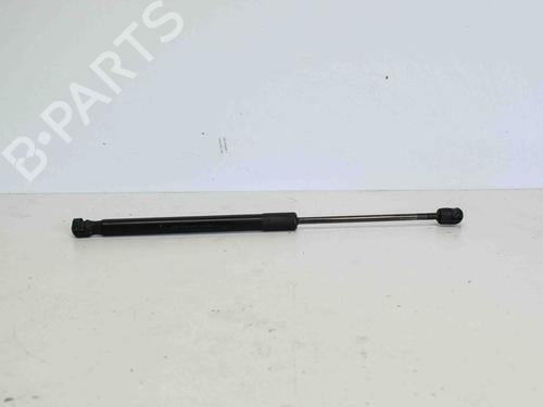 Used Tailgate lift support SKODA ROOMSTER (5J7) 1.2 (70 hp) 14686045