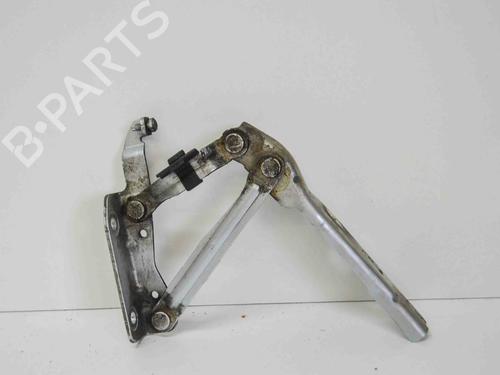 Used Hinge/Door check strap VW EOS (1F7, 1F8) 2.0 TDI (140 hp) 14674078