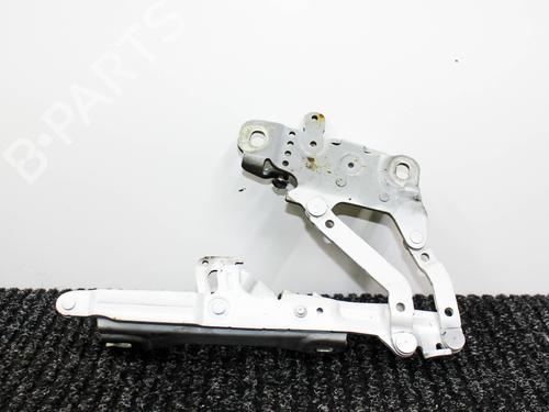 Hinge/Door check strap BMW 3 (F30, F80) 320 d | BP18314421C146 