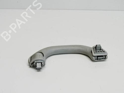 Interior roof handle SKODA OCTAVIA III (5E3, NL3, NR3) 1.4 TSI | BP14683384I35 