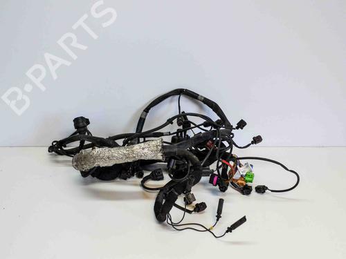Used Wiring harness AUDI A8 D3 (4E2, 4E8) 3.0 TDI quattro (233 hp) 15552161