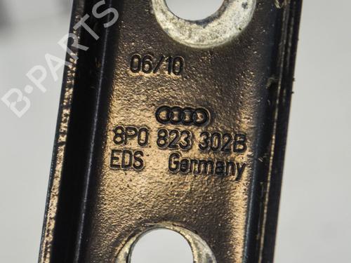 Hinge/Door check strap AUDI A3 Sportback (8PA) 2.0 TDI 16V | BP14672492C146 