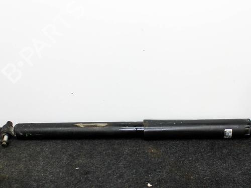 Used Left rear shock absorber FORD USA F-150 Crew Cab Pickup 2.7 (329 hp) 28821056