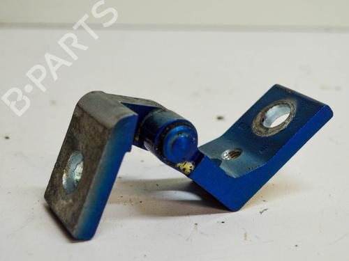 Hinge/Door check strap SKODA OCTAVIA II (1Z3) 2.0 TDI RS | BP14674829C146 