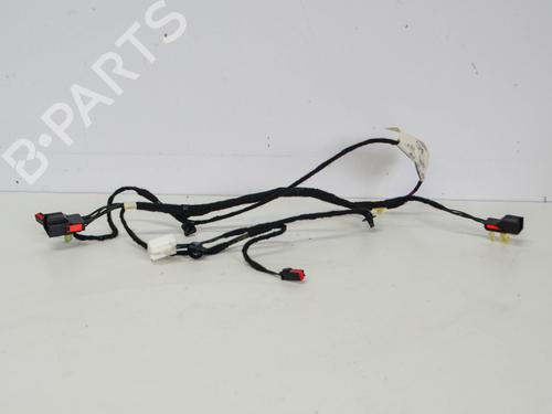 Ledningsnet JAGUAR XF I (X250) 3.0 D (241 hp) 14673491