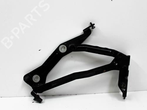Hinge/Door check strap FORD USA MUSTANG Coupe 3.7 V6 | BP28821512C146 