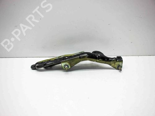 Hinge/Door check strap TESLA MODEL 3 (5YJ3) EV AWD | BP29227875C146 