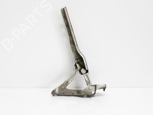 Hinge/Door check strap SKODA OCTAVIA II (1Z3) 1.6 | BP14683246C146 