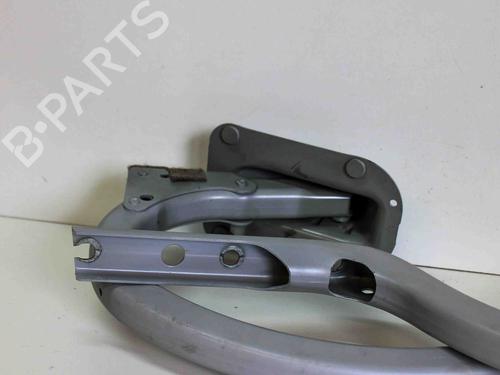 Hinge/Door check strap BMW 5 (F10) 535 i | BP14676406C146 