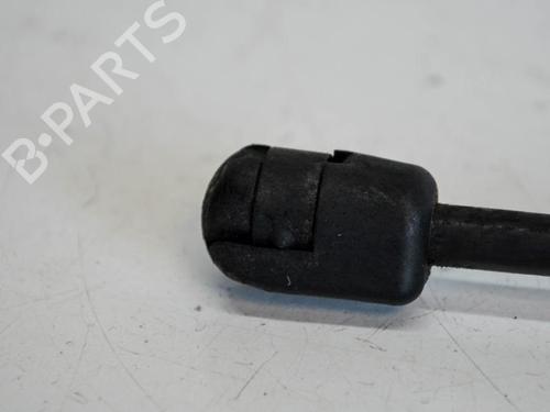 Hood lift support BMW 4 Coupe (F32, F82) 420 d | BP14691555C139 