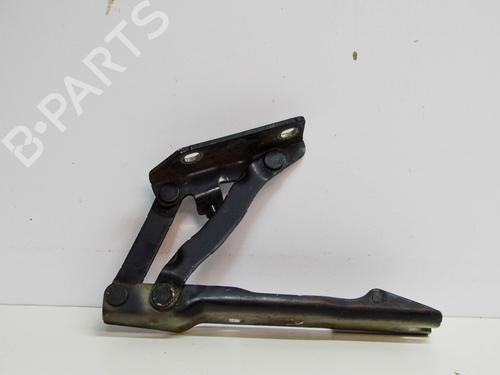 Used Hinge/Door check strap BMW 5 Touring (E61) 520 d (177 hp) 14673285