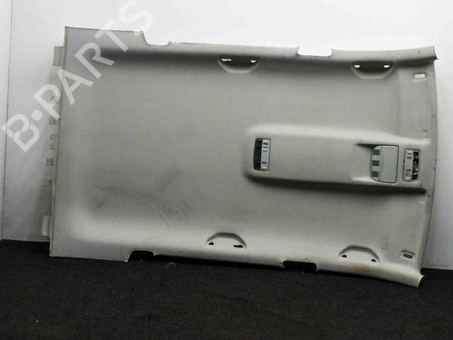 Techo interior SKODA OCTAVIA II Combi (1Z5) 1.6 TDI (105 hp) 8358122