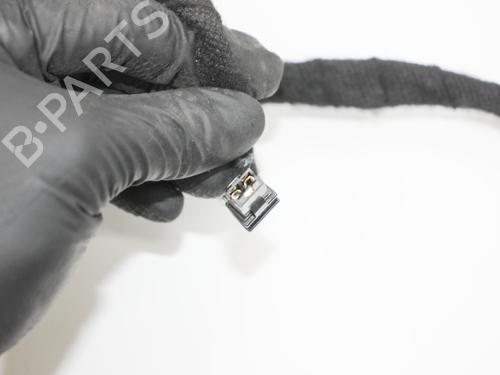 Wiring harness LAND ROVER RANGE ROVER SPORT III (L461) P440e PHEV AWD | BP31833987E16