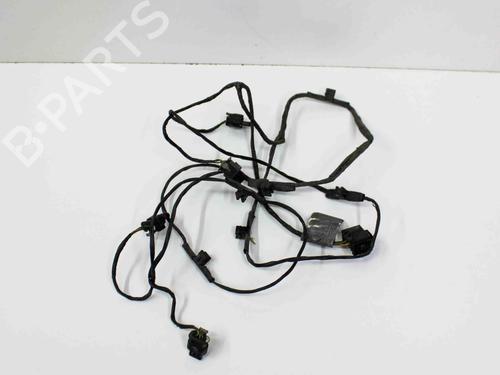 Used Electronic module BMW X5 (E70) xDrive 30 i (230 hp) 21087655