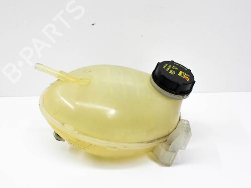 Used Expansion tank FORD ECOSPORT 1.0 EcoBoost (140 hp) 19651755