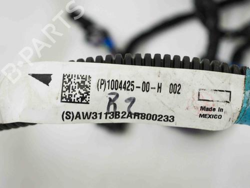 Wiring harness TESLA MODEL S (5YJS) 85 | BP14680727E16 