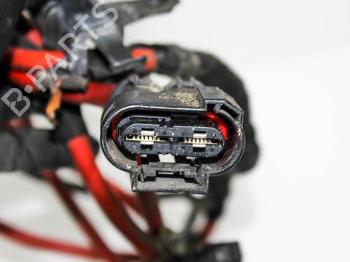 Wiring harness BMW 5 (F10) 528 i | BP20239032E16 
