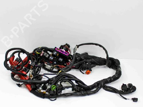 Used Wiring harness AUDI A6 C7 (4G2, 4GC) 3.0 TFSI quattro (310 hp) 17376267