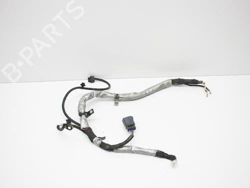 Used Wiring harness LAND ROVER RANGE ROVER SPORT III (L461) P440e PHEV AWD (441 hp) 31834002