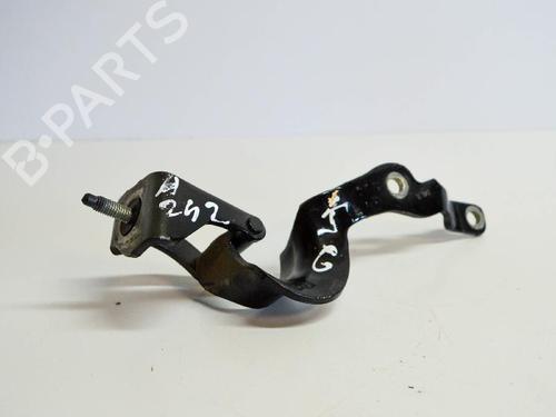 Hinge/Door check strap AUDI A3 Sportback (8PA) 1.8 TFSI | BP14669546C146 