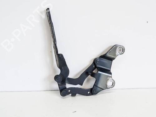 Hinge/Door check strap BMW 3 (E90) 320 i | BP14690379C146 