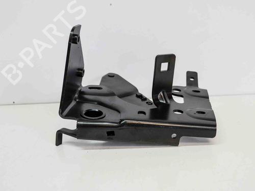 Hinge/Door check strap AUDI A7 Sportback (4GA, 4GF) 3.0 TDI | BP14689869C146