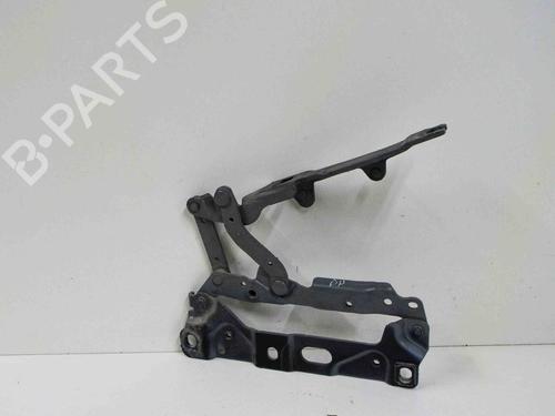 Dobradiça/Esticador de porta BMW 5 (F10) 530 i (258 hp) 14680211