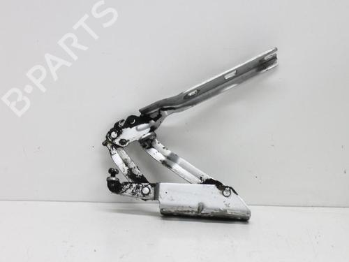 Hinge/Door check strap VW GOLF V (1K1) 2.0 TDI | BP14683542C146 